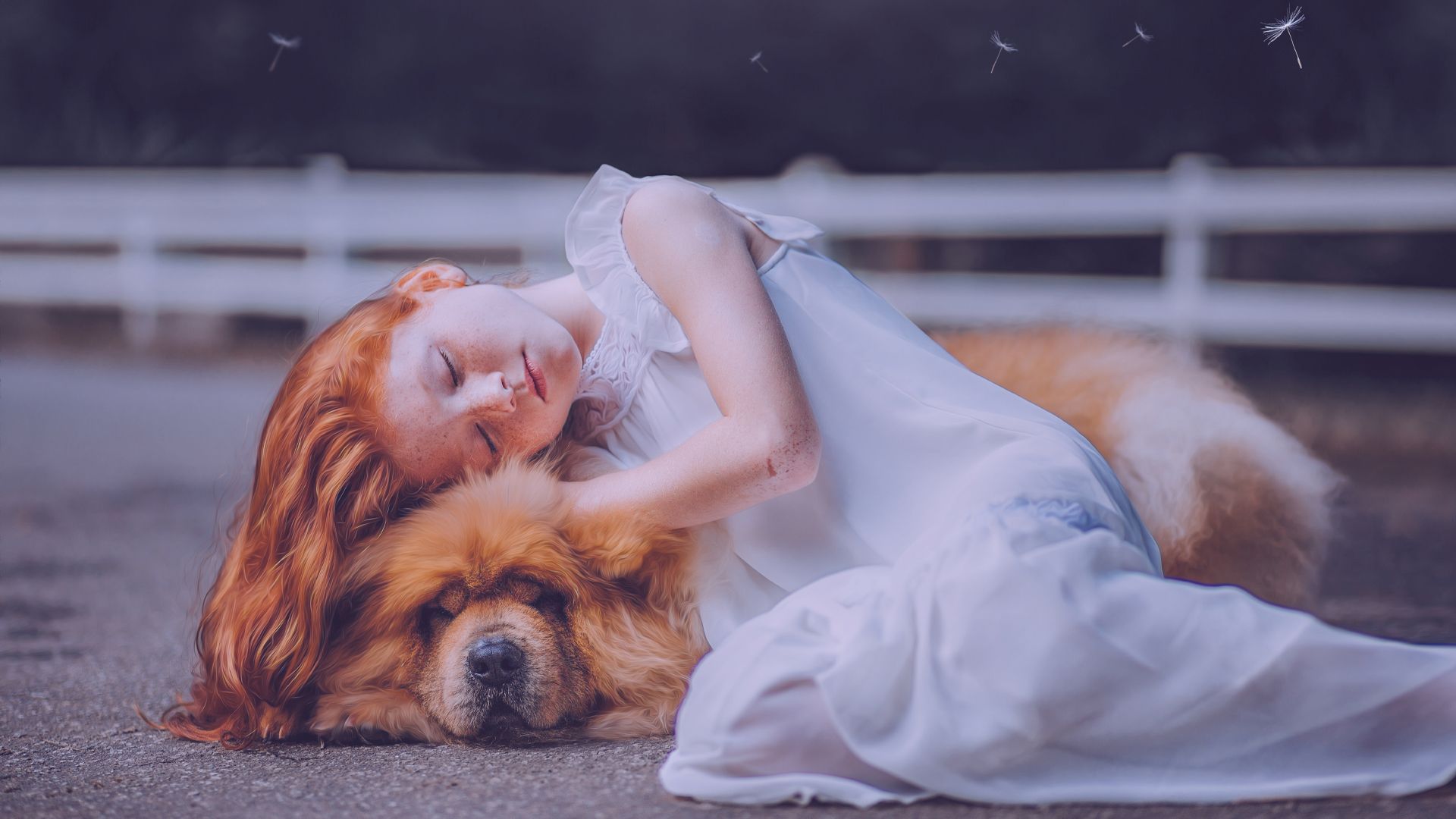 little girl lies next to her unconscious dog